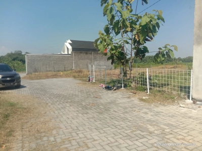 WhatsApp Image 2026 06 15 at 11.11.33